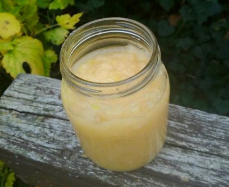 Mousse de poire pour bébé