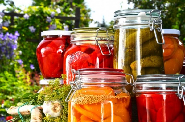 Ma liste de stérilisateurs électriques pour faire ses bocaux