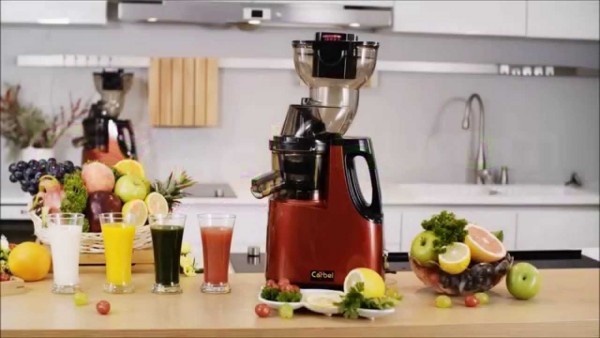 Ce que je pense de l'extracteur de jus de qualité de Carbel